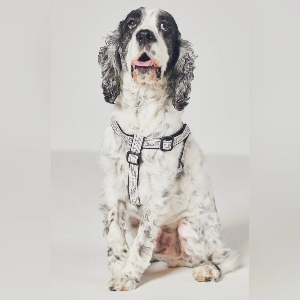 Anthropologie The Bistro Tile Dog Harness, LARGE NWT